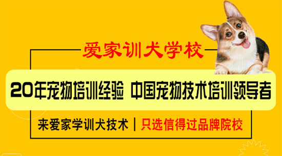 爱家