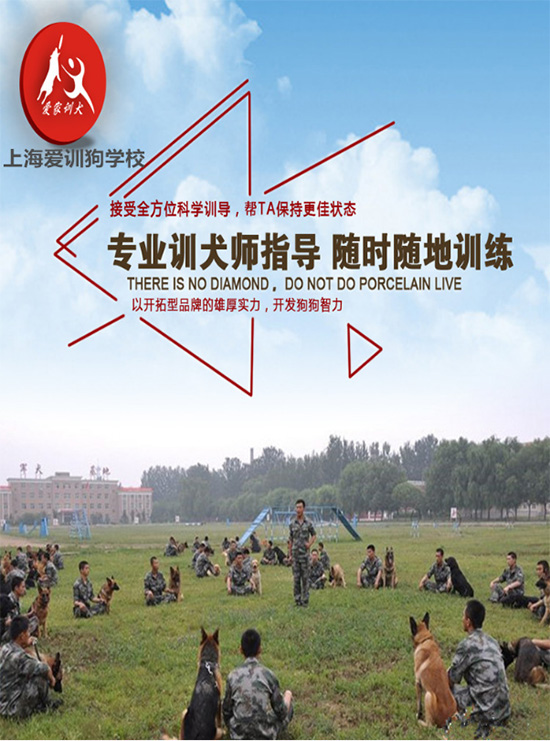爱家