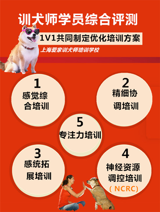 爱家