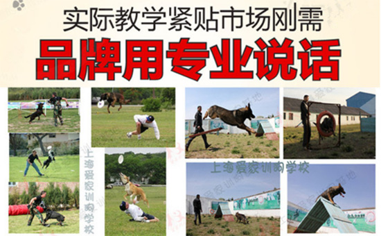 爱家