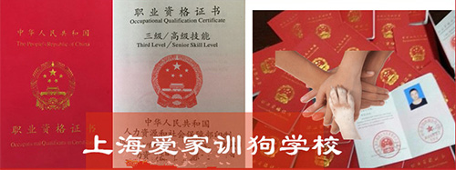 训犬师毕业证书