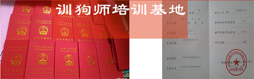 训犬师毕业证书