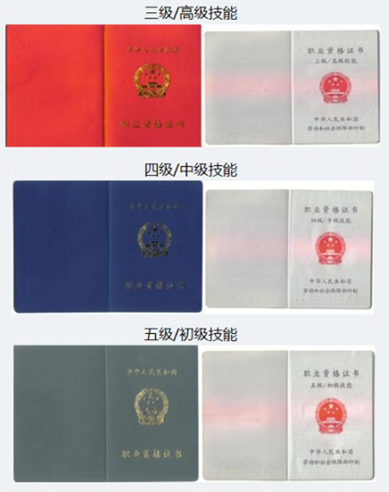 训犬师毕业证书