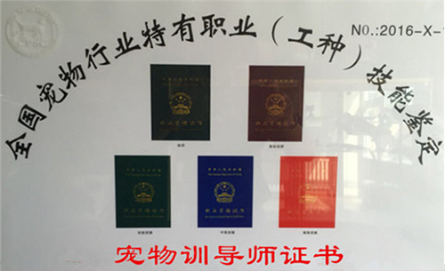 训犬师毕业证书