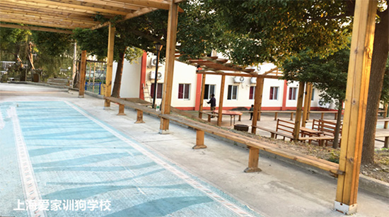学校环境