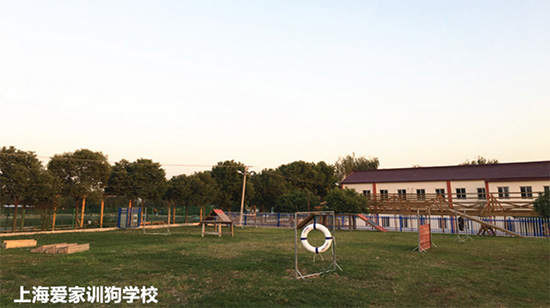 学校环境