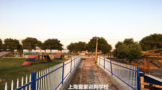 学校环境