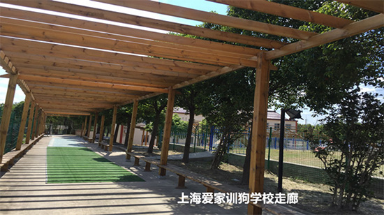 学校环境