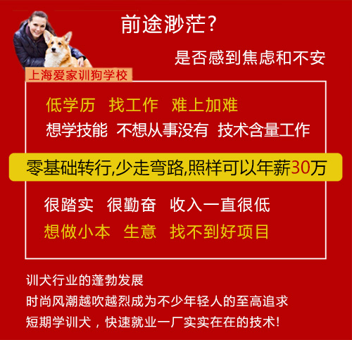 业余课程