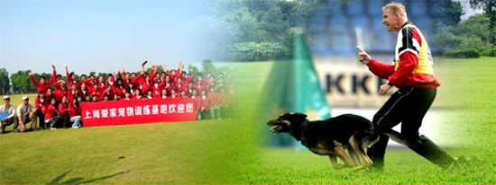 业余课程