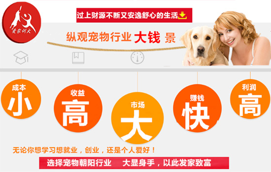业余课程