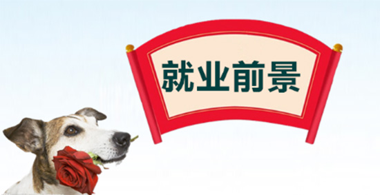业余课程