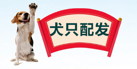 犬只配发