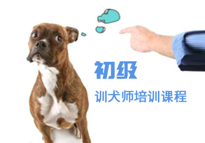 训犬师培训课程初级