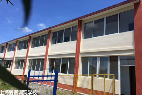 爱家格宠物技术培训学校