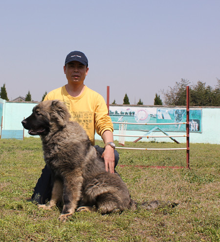 中国好商家”参选商爱家训犬