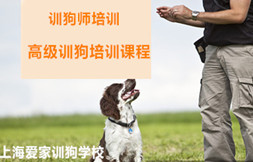 训犬师高级培训价目表