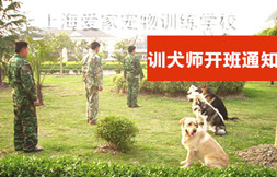 19年训犬师培训通知